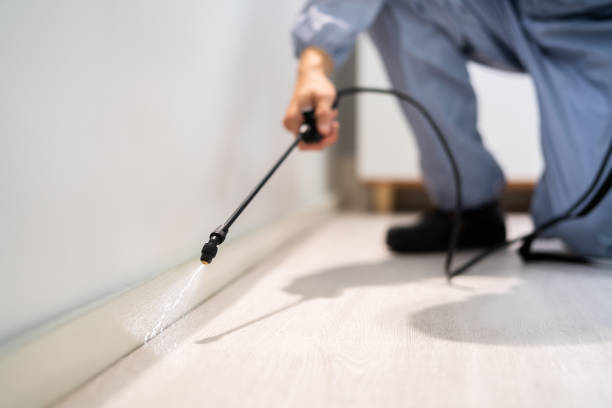 Bed Bug Pre-Treatment Preparation Assessment in Topton
