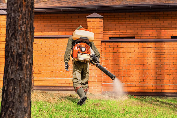 Bed Bug Clearance Verification and Documentation in Topton